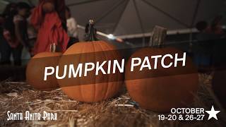 2019 Fall Fun Fest & Pumpkin Patch