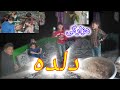 تا حالا دلده خوردی نذری سنتی و خاص مردم هزاره
