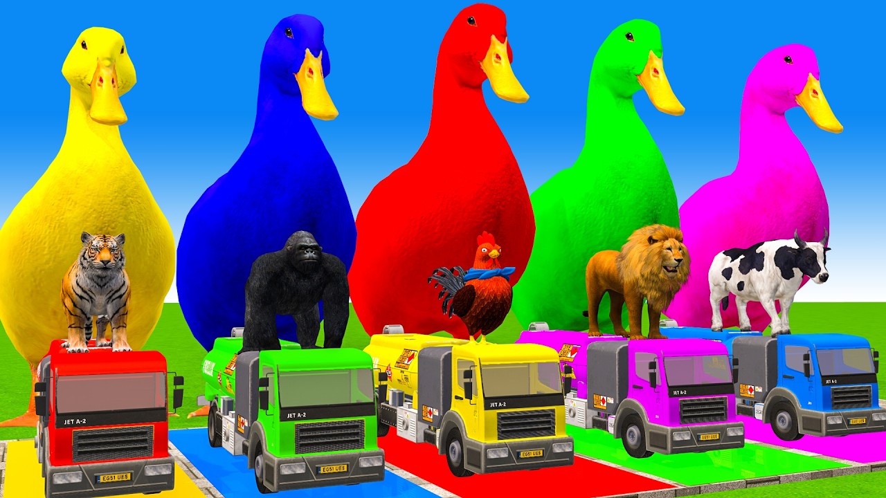 5 Giant Duck Cartoon,Cow,Elephant,Tiger,Lion,Dinosaur,Paint Wild Animals Crossing Fountain Animation