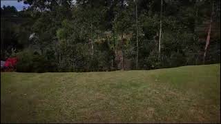 Venta de lote en Rionegro sector Galicia