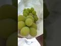 Japanese green grapes