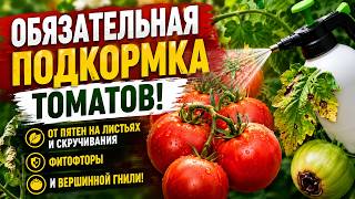 Обязательная подкормка ТОМАТОВ! От пятен на листьях и скручивания, фитофторы и вершинной гнили!