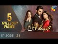 Mohabbat Tujhe Alvida Episode 21 | Digitally Powered By Master Paints | HUM TV Drama 4 November 2020