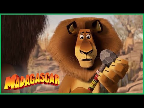DreamWorks Madagascar | Alex Sai da Reserva | Madagascar: Escape 2 Africa Filme
