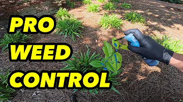How Do Pro Lawncare Companies Control Weed In Natural and Bed Areas?