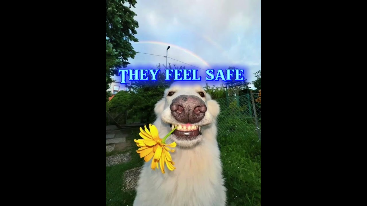 Soft heart. Strong mind.Calm energy always wins. 