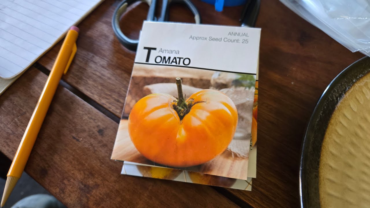 🍅💛 | Tomatoe Seeds Update - Do Over!!!