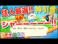 【神引き】マイル旅行券１０００枚で推しに会う旅【あつ森】【生放送】