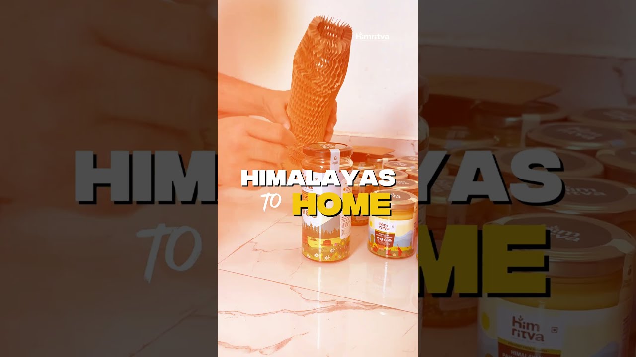 Himalayas To Home - Vlog 10