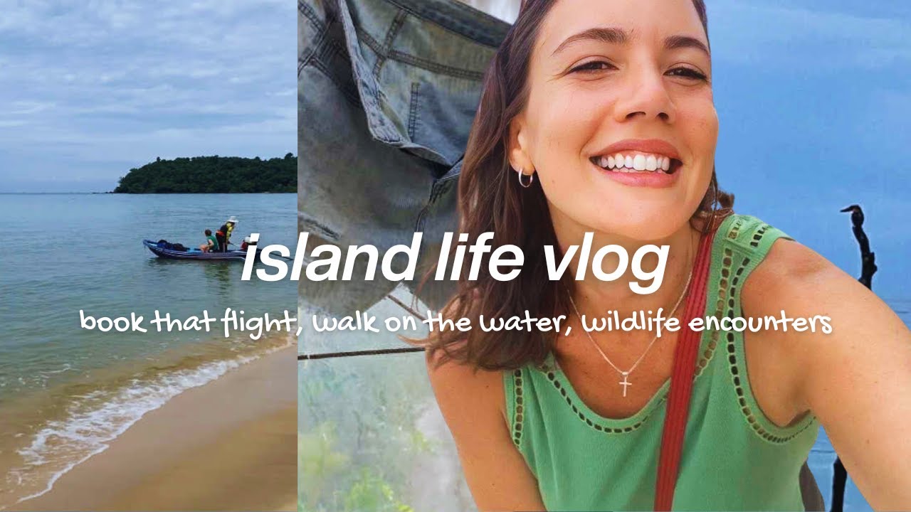 island life vlog (day 11) ✈️ book that flight, walk on the water, wildlife encounters