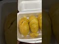 Cơm sầu riêng #durian #fruit blackthorn vàng cam lạ mắt. Mịn béo #dailyvlog #saurieng