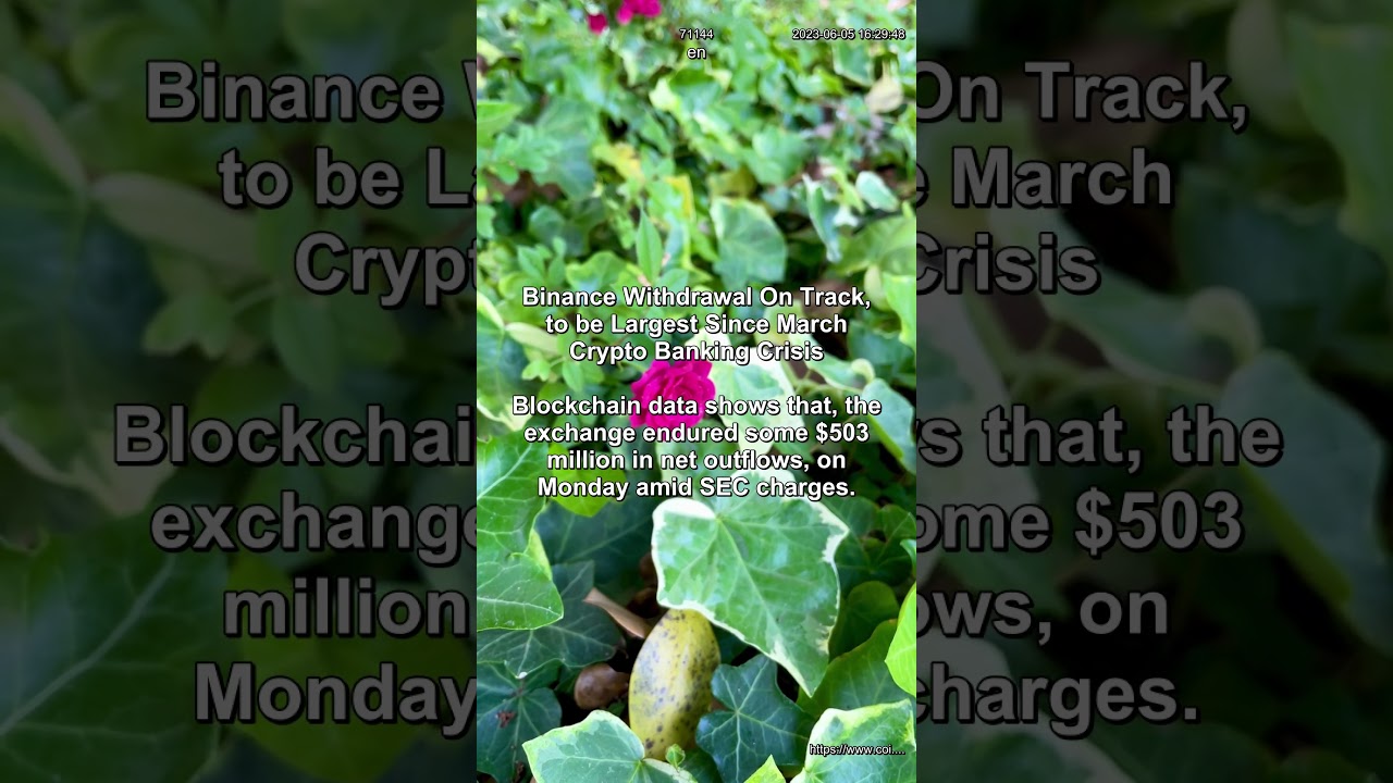 Binance Endures $69M in Net Outflows Within an Hour, Amid SEC Charge