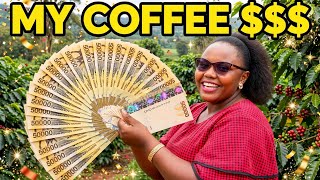How Much MONEY My Small Coffee Farm Pays Me?