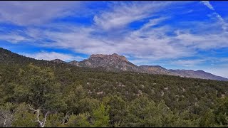 Famous Pinyon Pine Loop Trail | Sawmill Trailhead Area | Lee Canyon, Nevada Wealth