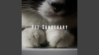 Mellow Pet Harmony Session