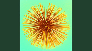 Vibrant Ambience for Commuting Summers