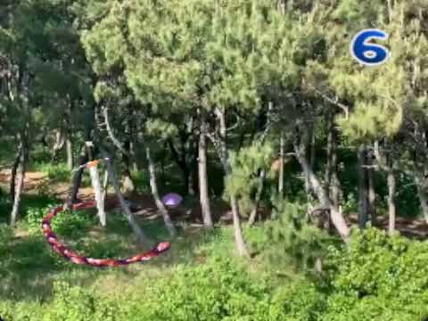 玩法视频