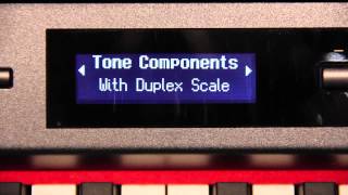 Duplex Scale screenshot 5