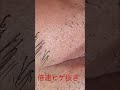 【remove beard at double speed】倍速ヒゲ抜きショート26(毛抜職人切り抜きショート)　【毎週金曜21時に動画更新】