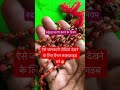 ￼ रुद्राक्ष कब ￼पहनना चाहिए कब उतरना चाहिए🤔