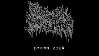 Sanguinary Consummation - Promo 2024 (Full Promo)