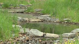 Wakefield Stream Restoration Project Completion