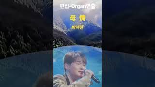 #박서진 #모정 #아들을 기다리는 어머니의 ㅡ #트로트