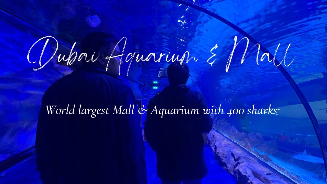 Explore Dubai Aquarium & Underwater Zoo