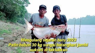 SEJARAH BARU PATIN BABON SUNGAI BATANGHARI BERHASIL DI TAKLUKKAN