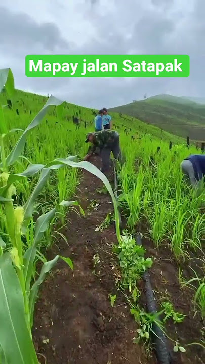 Mapay jalan Satapak