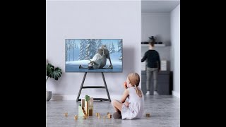 Best Modern Artistic Universal Floor TV Stand for 43 75 Inch TVs