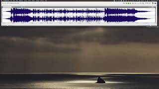 Amadeus Pro Audio Editing App for Mac... overview screenshot 5