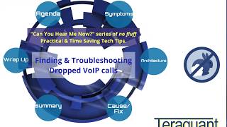 Famous Teraquant Dropped VoIP Calls - How to find, isolate & troubleshoot dropped wired VoIP networks calls Profile