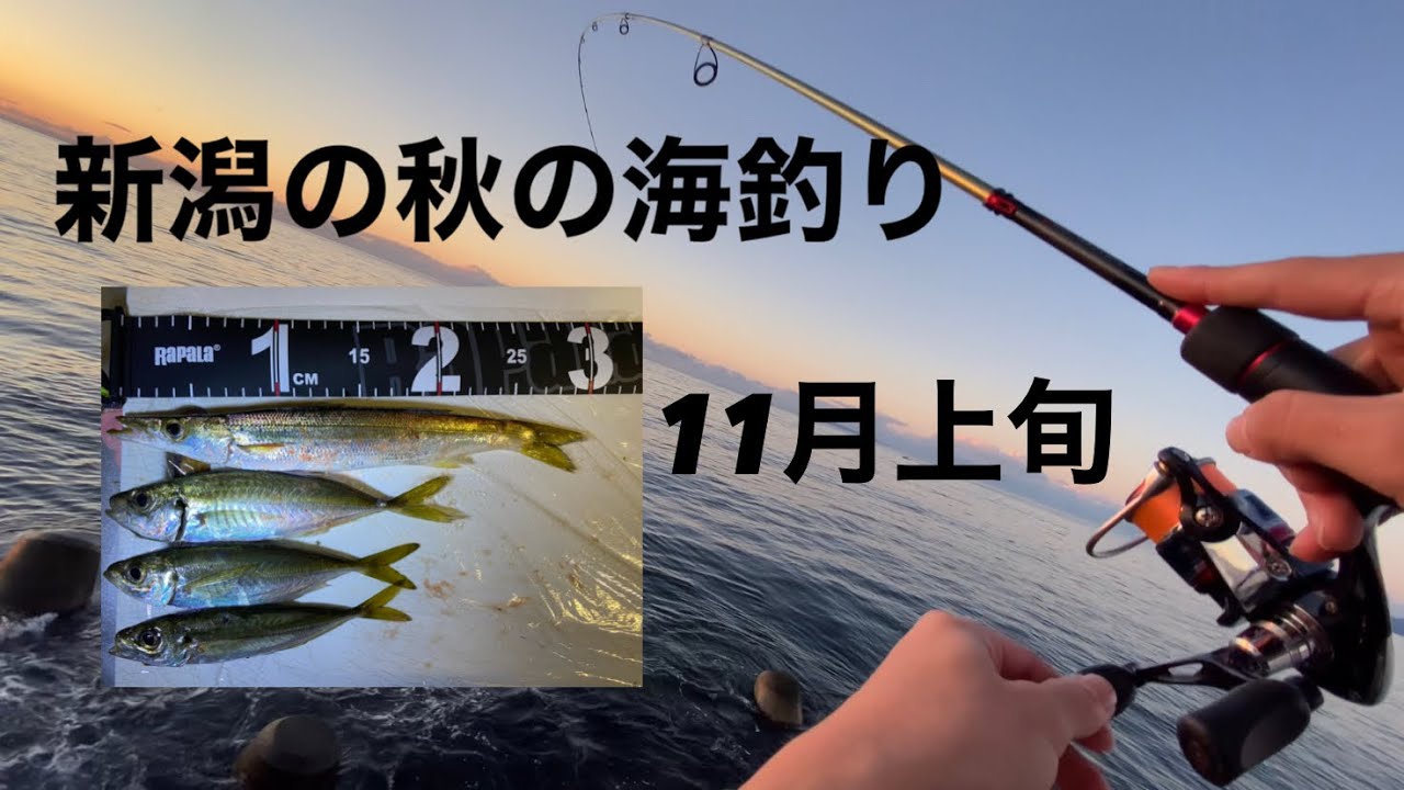 秋の海釣り アジング ジギング Youtube