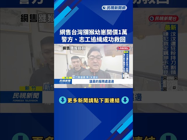 「台灣獼猴幼崽」網路開賣1萬元 警方、志工聯手追緝救回－民視台語新聞