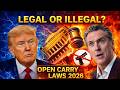Open Carry Laws in USA (Explained)