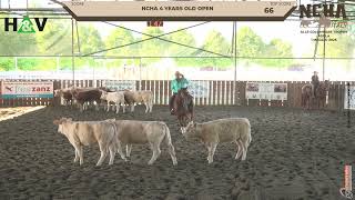 Ncha 4 years old Open Champion