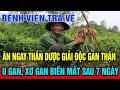 Sáng Ngủ Dậy Bỏ Bún Phở Đi, Ngậm 1 Lát Gừng Sẽ SỐNG RẤT THỌ, Gan Thận Yếu Mấy Cũng Hồi Sinh Trở Lại