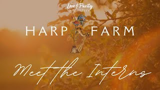 Harp + Farm 2023: Meet the Interns!