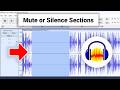 How to Mute or Silence Sections of Audio Track in Audacity