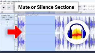 How to Mute or Silence Sections of Audio Track in Audacity