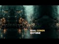 Soul Cords - The Picture