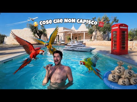 WATCH OUT FOR THE PARROTS 🦜 - they’re up to something