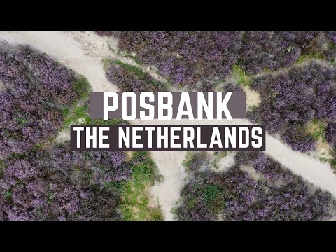 Posbank | Nederland ???? | 2021 | DJI Mini 2 Drone-video