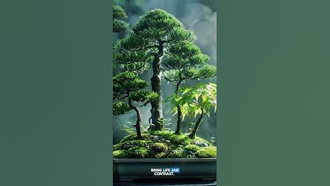 ASMR Forest in a Pot: The Calming Art of Bonsai….. #zen #shorts