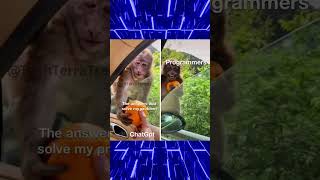 Dev vs ChatGPT #memes #funny #viral #shorts #tech #ai #coding #gaming #fyp #computer #anime #pc #lol