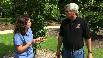 IPM: Trapping and Monitoring