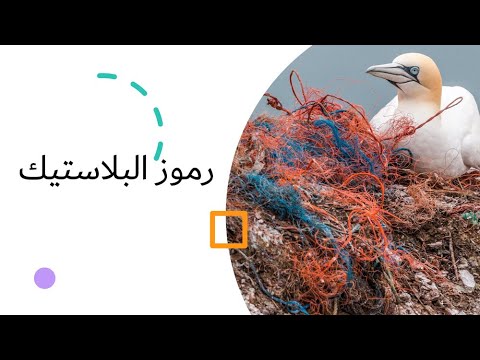 رموز وأنواع البلاستيك دحر التلوث البلاستيكي المنتدى البيئي الأول