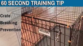 60 Second Training Tips: Crate Breaking Prevention