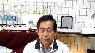天然石専門店　ネオスアイランド　「健康と長寿の石・マザーオブパール」